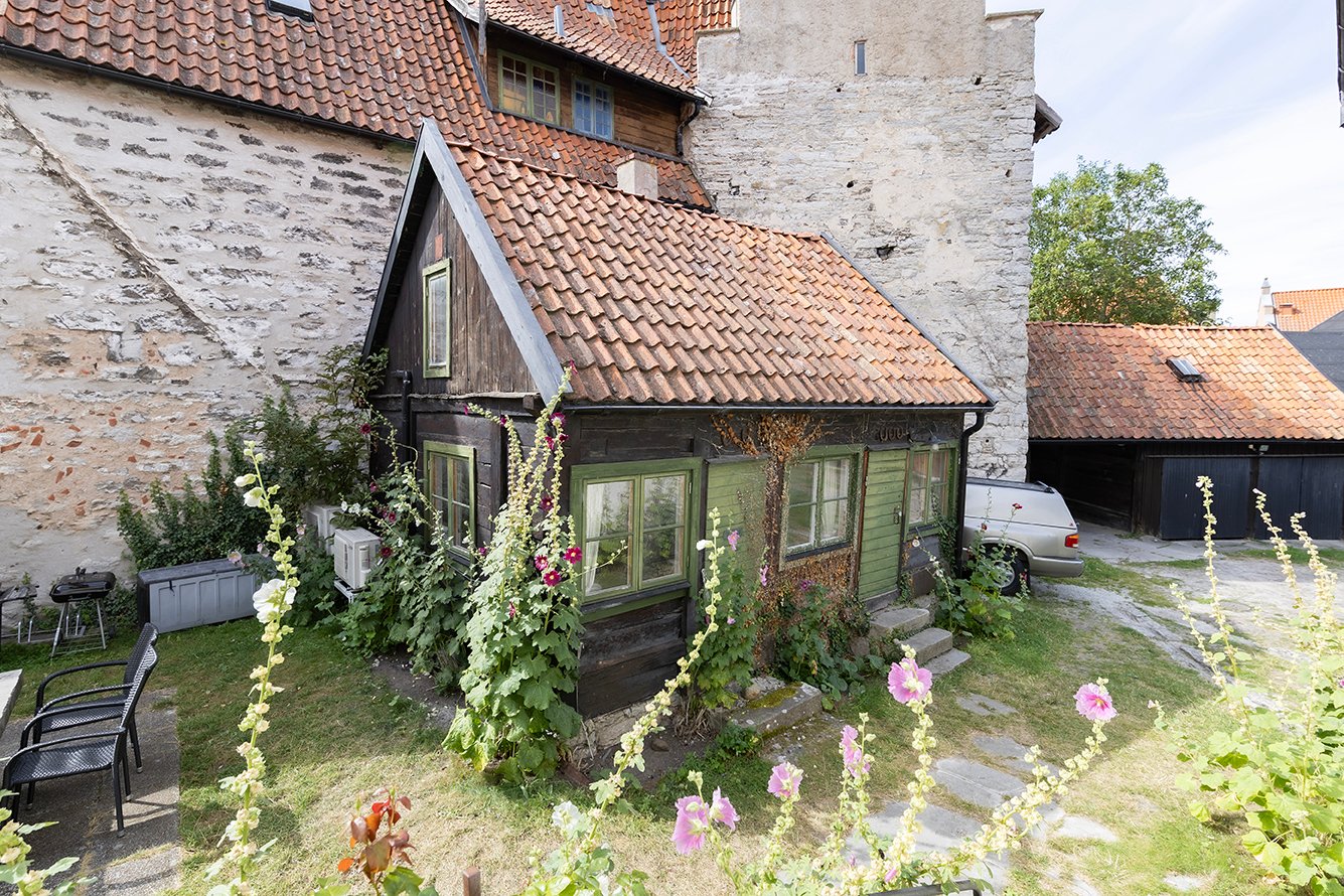 Trädgård med stockrosor och trähus intill stenmur